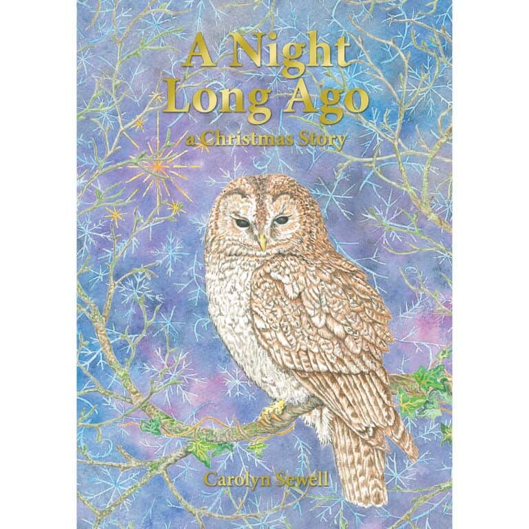 ‘A Night Long Ago‘ by Carolyn Sewell